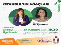 “İSTANBUL'UN AĞAÇLARI” SÖYLEŞİSİ 17 KASIM AKŞAMI CANLI OLARAK YAYINLANDI “İSTANBUL'UN AĞAÇLARI” SÖYLEŞİSİ 17 KASIM AKŞAMI CANLI OLARAK YAYINLANDI