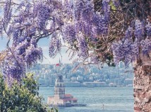 ÜSKÜDARLI ANNELERE MOR SALKIM ÜSKÜDARLI ANNELERE MOR SALKIM