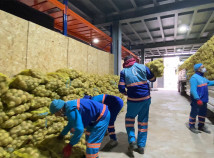 HEM ÇİFTÇİYE HEM İHTİYAÇ SAHİBİNE DESTEK PATATES DAĞITIMI BAŞLADI HEM ÇİFTÇİYE HEM İHTİYAÇ SAHİBİNE DESTEK PATATES DAĞITIMI BAŞLADI